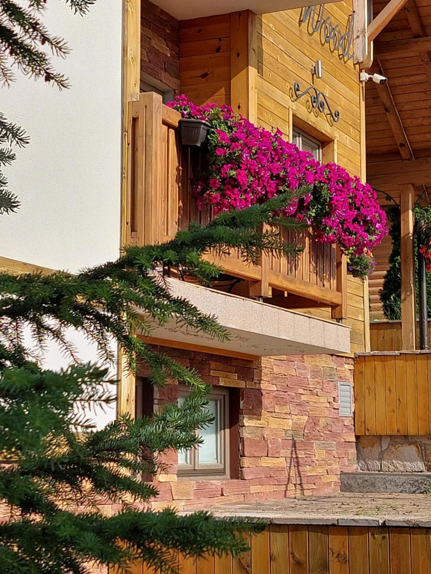 Villa Natural Wood Zlatibor Eksteriør bilde